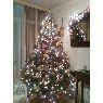 lizeth rivera's Christmas tree from honduras
