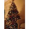 Weihnachtsbaum von Gloria Cano (London, Ontario, Canada)