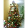 Mirna Guaraco's Christmas tree from Barcelona, Venezuela