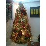 Jose Rubio's Christmas tree from Maracaibo, Venezuela