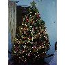 Marlene Moyano's Christmas tree from Chile