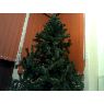 LUpitA MtZ's Christmas tree from Chile