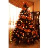 Weihnachtsbaum von Belen Pardo Aguirre (Machala, Ecuador)