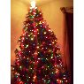 Weihnachtsbaum von Laura Lazalde (Pasadena, Texas, USA)