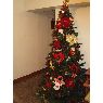 Weihnachtsbaum von Familia Perales Castillo (Caracas, Venezuela)
