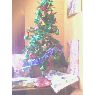 Sabina's Christmas tree from Quilpue, Chile