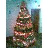 Yorvich Dorta HIguera's Christmas tree from Caracas, Venezuela