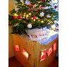 Villotta's Christmas tree from Arlon, Belgique