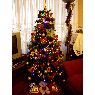 Esther Garcia's Christmas tree from Bilbao, España