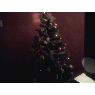 diego's Christmas tree from cantabria, españa