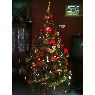 Elisabet's Christmas tree from Argentina