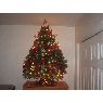 Weihnachtsbaum von Gonzalo (New York)