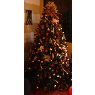 Mary's Christmas tree from Madeira