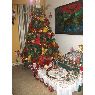 Patricia Silva Goyes's Christmas tree from Guayaquil, Ecuador