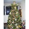 Roxana Castillo's Christmas tree from Caracas-Venezuela
