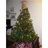Alexandra Crichton's Christmas tree from Australia