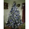 Weihnachtsbaum von Cindy F (Cambridge, ON Canada)