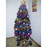 nicolas's Christmas tree from france