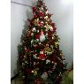 yajairaa diaz's Christmas tree from valles del tuy - cua