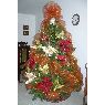 MARTHA LUCIA TRUJILLO GARCIA's Christmas tree from COLOMBIA