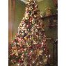 David L.'s Christmas tree from Jalisco, Mexico