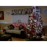 Weihnachtsbaum von Esmeralda Plasencia (Atlanta GA USA)