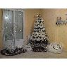 CELINE's Christmas tree from CHALONS EN CHAMPAGNE, FRANCE