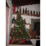 LILIAN VIANO's Christmas tree from ALEJANDRO ROCA- CÓRDOBA, -ARGENTINA