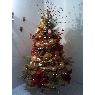 Familia Buitriago Bustamante's Christmas tree from Colon Edo. Tachira Venezuela