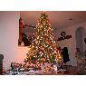 Weihnachtsbaum von Dave Buchanan (Arlington, TX, USA)