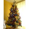 Gladys's Christmas tree from Lima,Perú