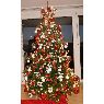 Renate Fischer-Meyer's Christmas tree from Sursee, Switzerland