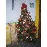 caty fierros's Christmas tree from Tlaxcala, Mexico
