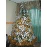 carlos e hernandez l 's Christmas tree from puerto ordaz, venezuela 