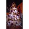 ana herrera's Christmas tree from novara, italia