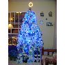 ALBERT ASPRILLA's Christmas tree from PEDREGAL,  PANAMA