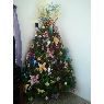 Jessica's Christmas tree from San Juan, Puerto Rico