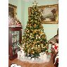 Weihnachtsbaum von ernesto (tenerife españa)