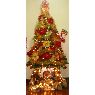 Mirna del Valle Toledo de Gonzalez's Christmas tree from Los Teques, Venezuela