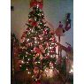 Weihnachtsbaum von JULIANA (PASTO,COLOBIA)