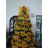 Omaira Garcia de Ramírez's Christmas tree from Ureña, Estado Táchira Venezuela