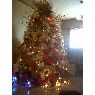 ELSY DIAZ's Christmas tree from LARA, VENEZUELA