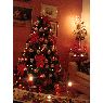 cecilia's Christmas tree from Roma, Italia