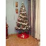 familia martinez's Christmas tree from Jaén, España
