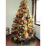 Alex Guachisaca's Christmas tree from Quito, Ecuador