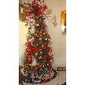 Yaya Pavlovich's Christmas tree from Sonora, México