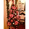 Weihnachtsbaum von leonel piedra mora (cartago,costarrica)