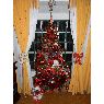 Rafael Hector Lago's Christmas tree from Comodoro Rivadavia,Argentina