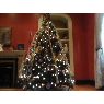 Lela Robinson's Christmas tree from Hartford, CT, USA