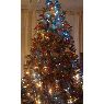 Tracey Ozwell's Christmas tree from Thatcham, Berkshire England